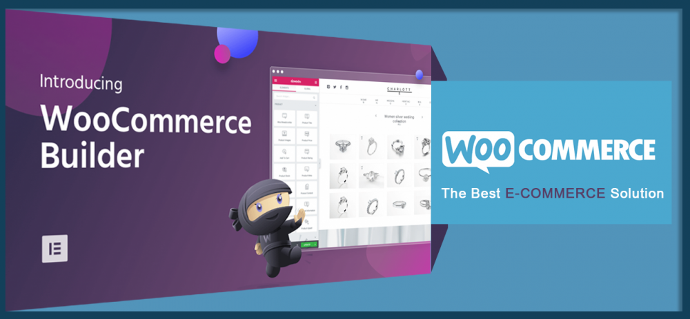 e-commerce-wordpress